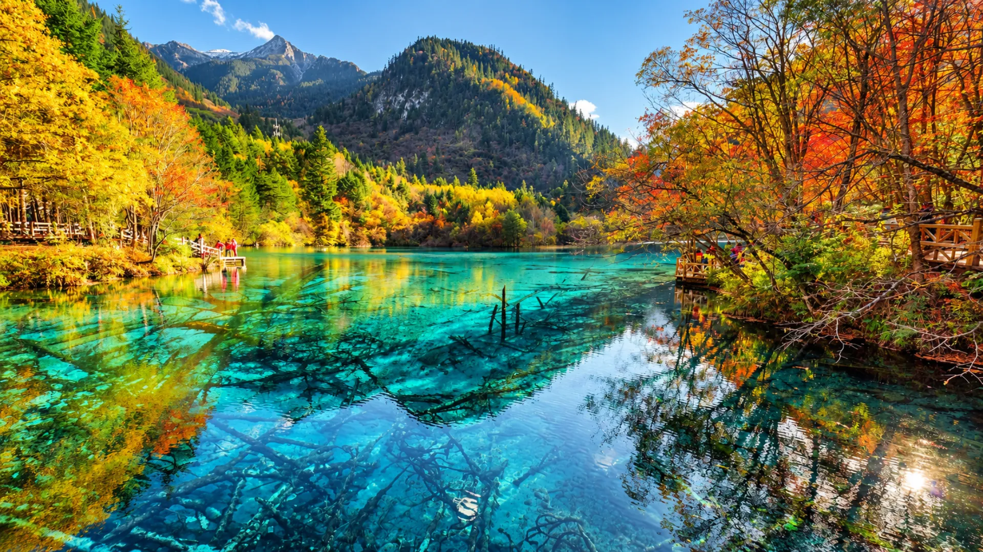 Musim Gugur di Jiuzhaigou Tanpa Perjalanan Bus 10 Jam: Panduan Rute Kereta Cepat Chengdu–Huanglongjiuzhai
