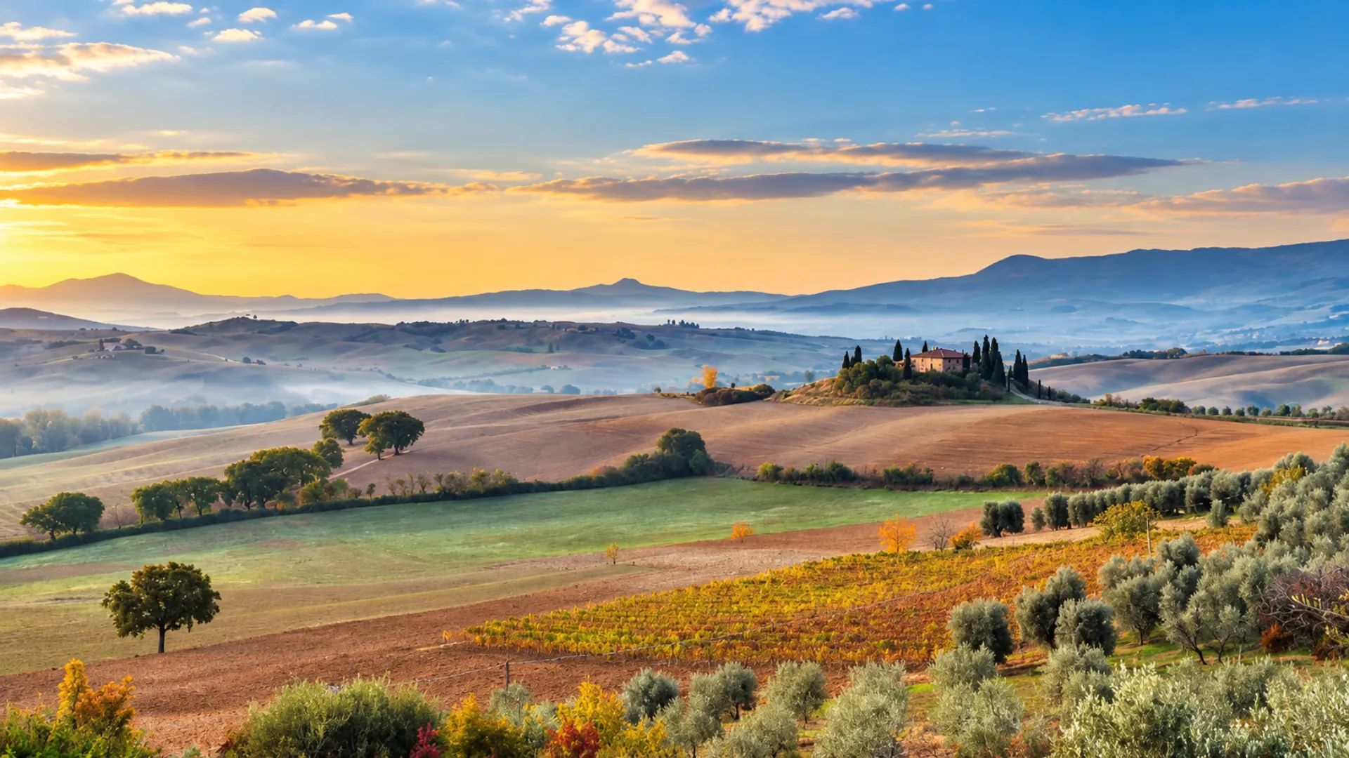 MUSIM PANEN DI TUSCANY: MENGAPA OKTOBER–NOVEMBER ADALAH WAKTU PALING "LEZAT" UNTUK MENJELAJAHI PEDESAN ITALIA
